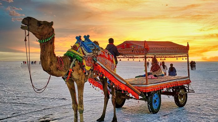 ધોરડો સર્વશ્રેષ્ટ પર્યટન ગામ